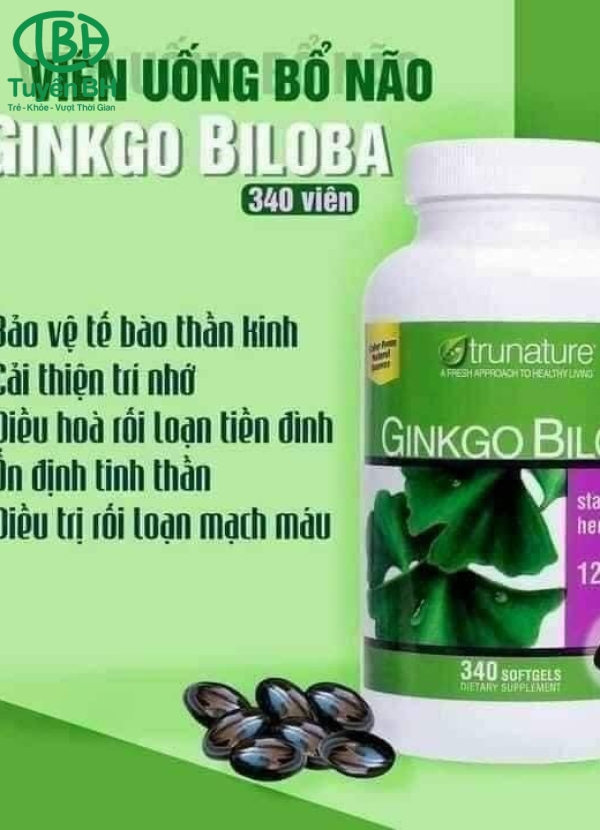 Bổ não GINKGO BILOBA Mỹ 340 viên 